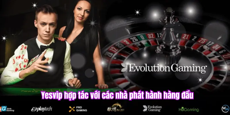 Đối tác hàng đầu